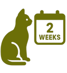 4. Trial Period (2 Weeks)