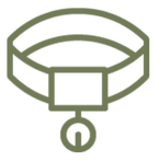 Adopt an </br>Animal