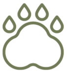 Pets adopted in 2025