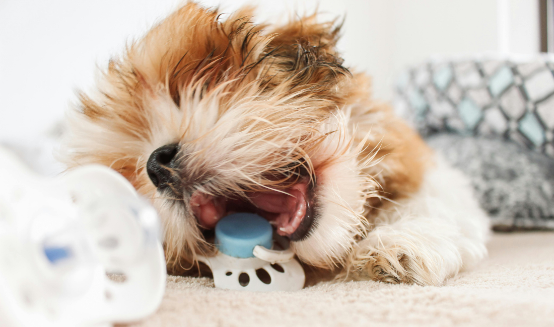 AWAD Icons (1100 x 650 px)