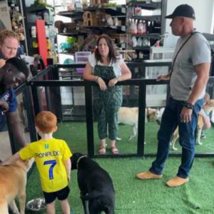 Untitled design (19)