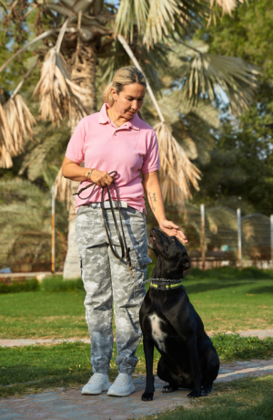 Untitled design (25)